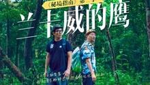 跳出深坑