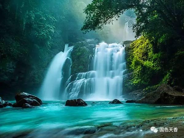 跨越山水聚云端 整装蓄力再出发——中卫市、乐山市税务局开展青年联学共建